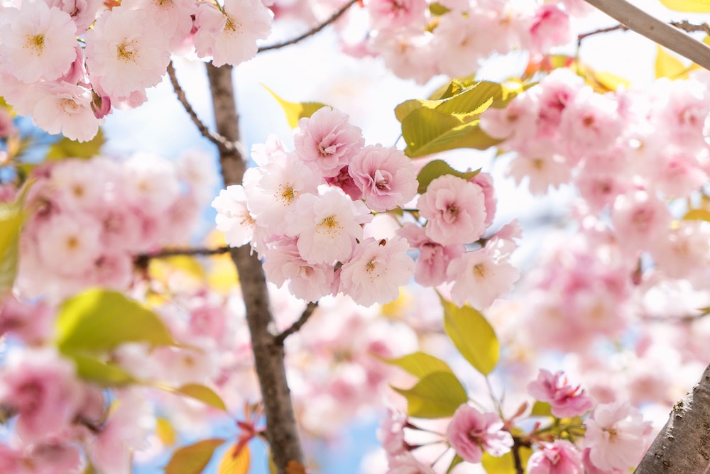Springtime strategies for your health