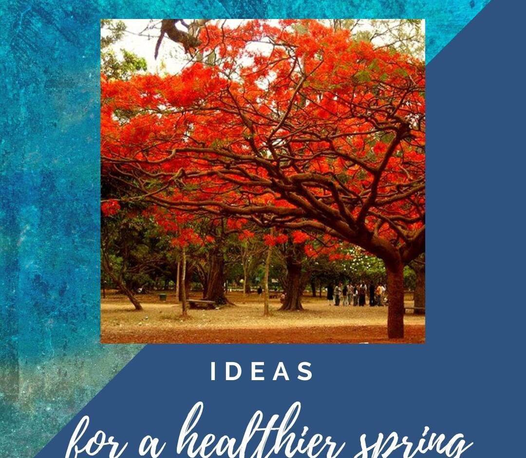 Ideas for a healthier spring