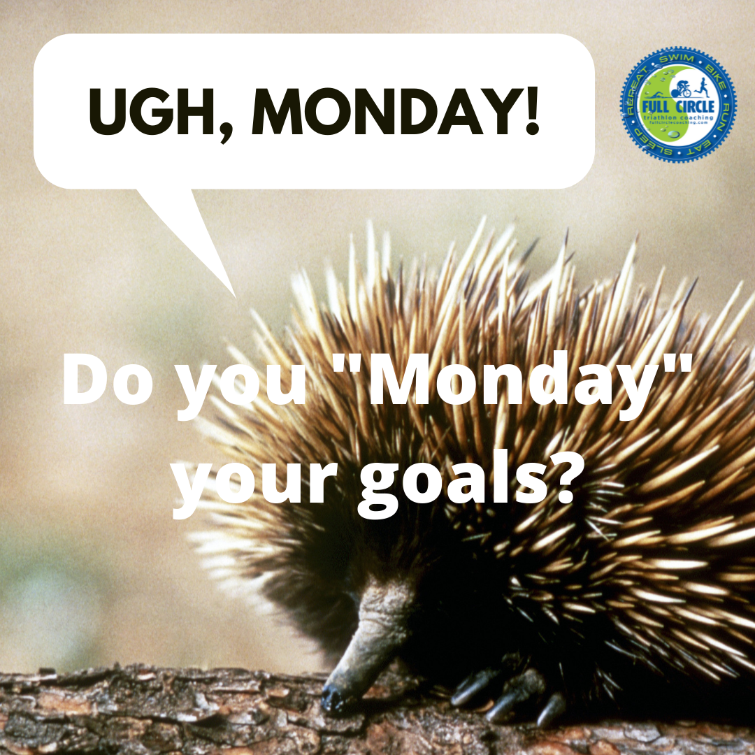 Do you “Monday” Your Goals?