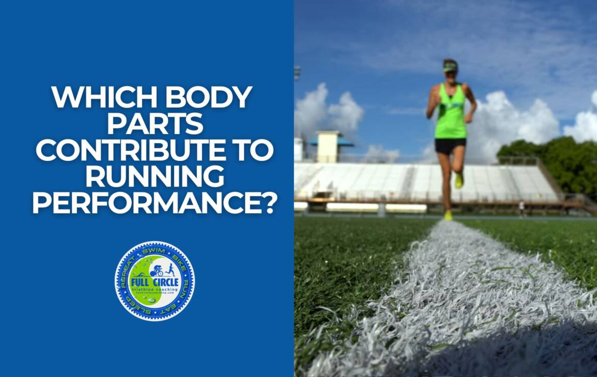Which Body Parts Contribute to Running Performance?