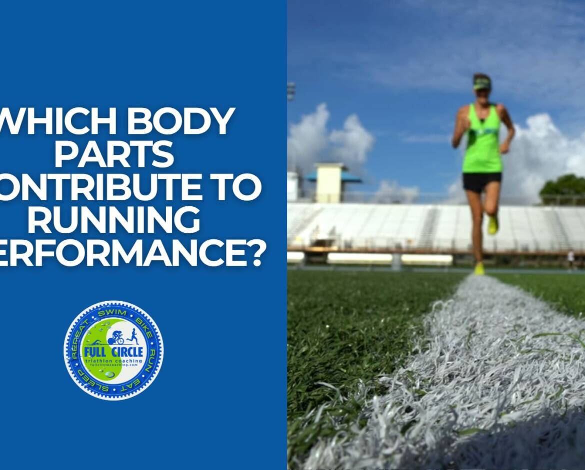 Which Body Parts Contribute to Running Performance?